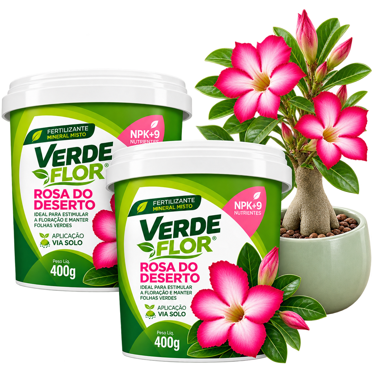 Dois potes de FORTH Rosa do Deserto 400g ao lado de uma Rosa do Deserto florida