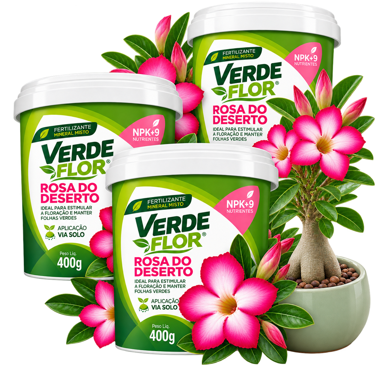 Três potes de FORTH Rosa do Deserto 400g ao lado de uma Rosa do Deserto florida